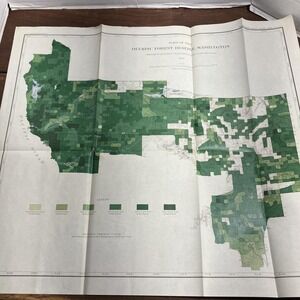 Vintage 1899 Olympic Forest Reserve Washington Hemlock USGS Map Litho Print USA